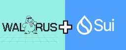 Sui Logo